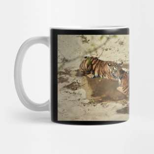 Tiger Cubs Mug